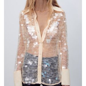 Zara semi sheer sequin top